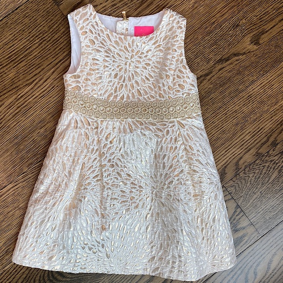 Lilly Pulitzer Other - Lilly Pulitzer dress